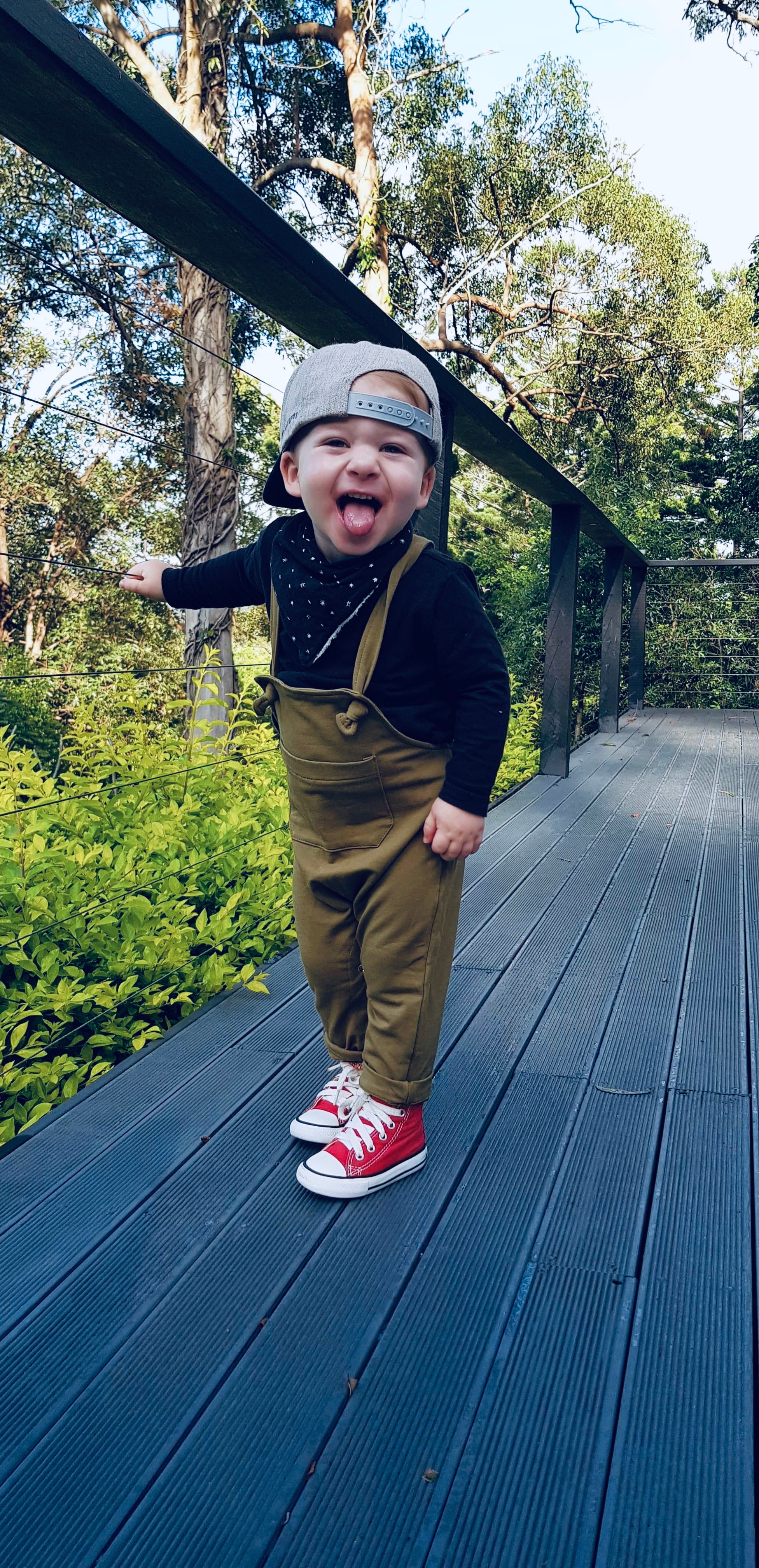 Zander